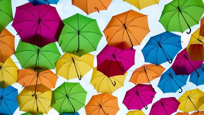 ¿Cuáles son los paraguas más raros del mundo?