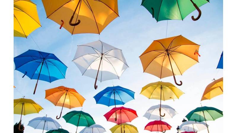 ¿Cuáles son las diferencias entre un paraguas bueno y otro malo?